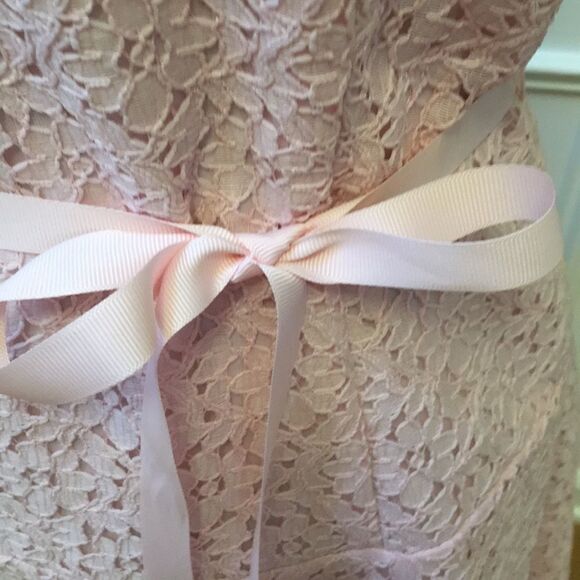 Pink Dress with Floral Overlay - Picture 4 of 8